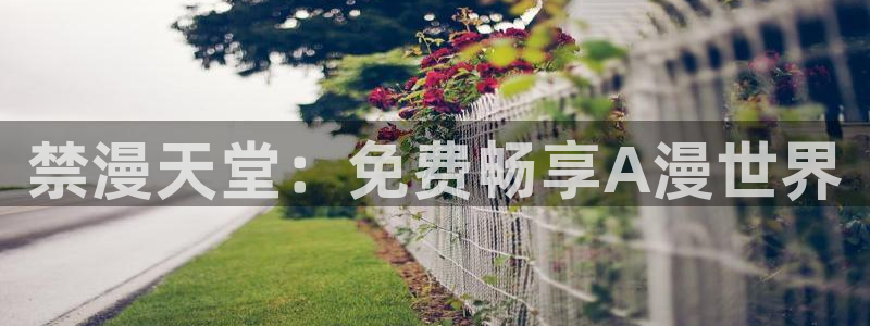 omofun吧：禁漫天堂：免费畅享A漫世界