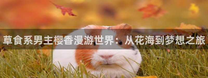 omofun去广告版：草食系男主樱香漫游世界：从花海到梦想之旅