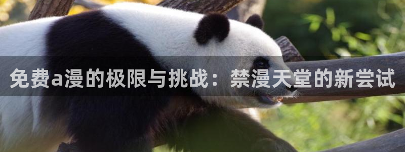omofun 动漫在线观看免费全集：免费a漫的极限与挑战：禁漫天堂的新尝试