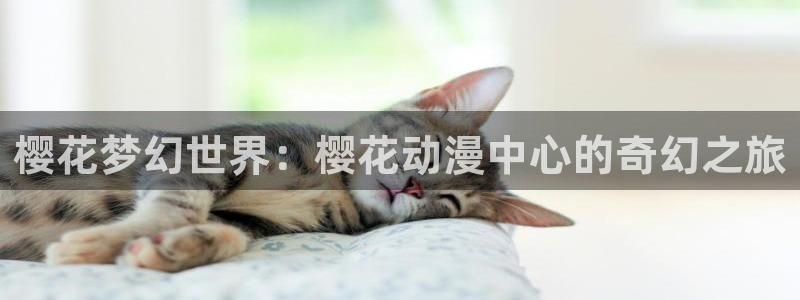 omofun专注动漫官网入口：樱花梦幻世界：樱花动漫中心的奇幻之旅