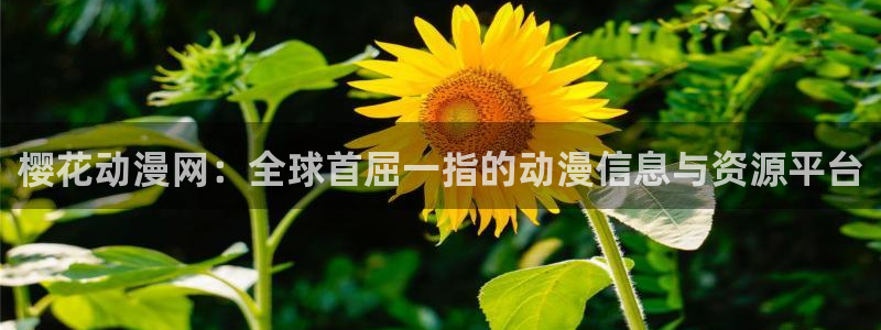 omofun动漫软件下载免费版