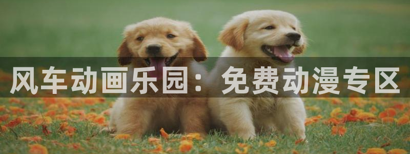 omofunapp官网下载