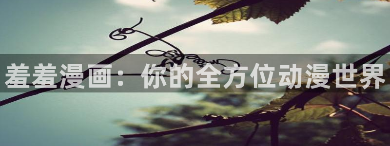 omofun入口