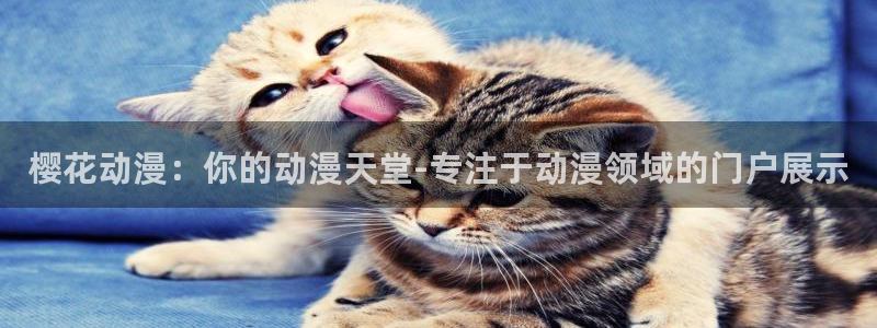 o站(omofun)官网
