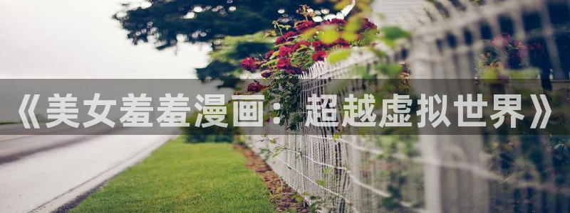 o站(omofun)官网：《美女羞羞漫画：超越虚拟世界》