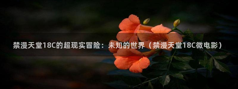 腐漫画网网站：禁漫天堂18C的超现实冒险：未知的世界（禁漫天堂18C微电影）