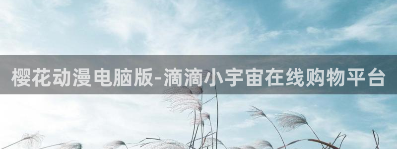 omofun的官网：樱花动漫电脑版-滴滴小宇宙在线购物平台